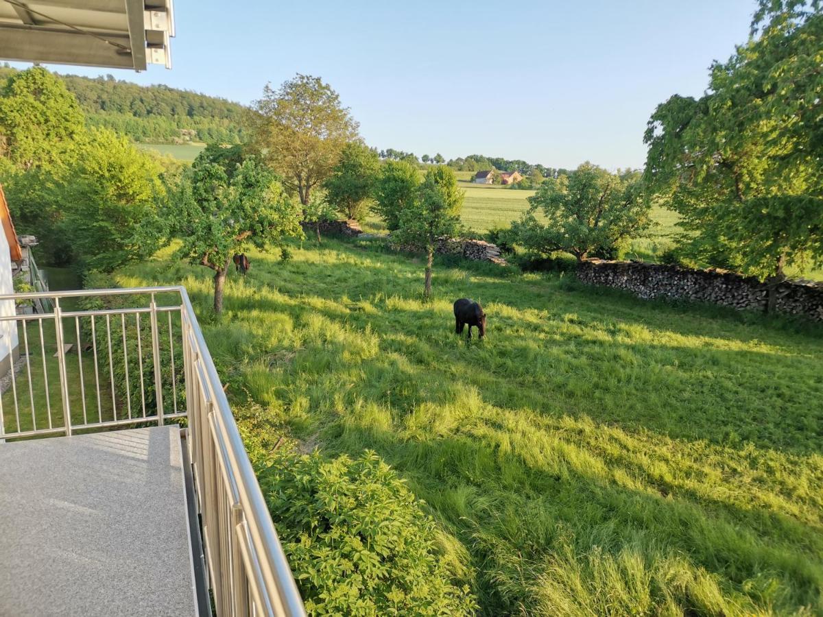Meyer * Weißenburg in Bayern